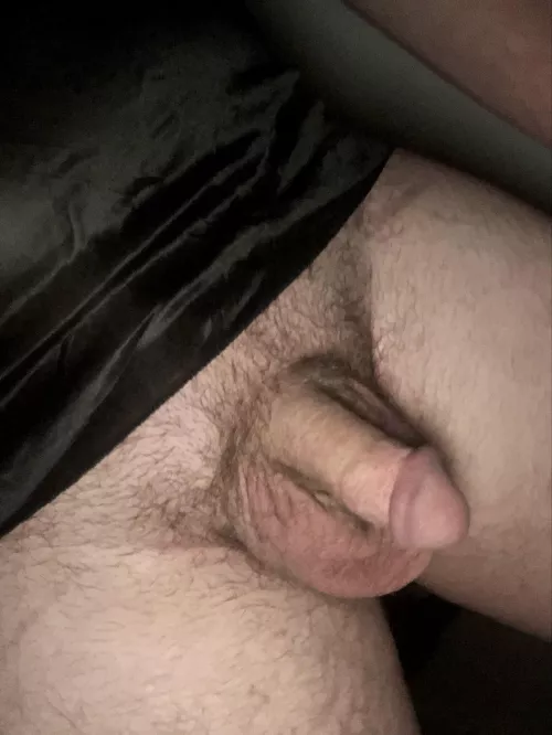 How does it look?[30] by TalkRepresentative56