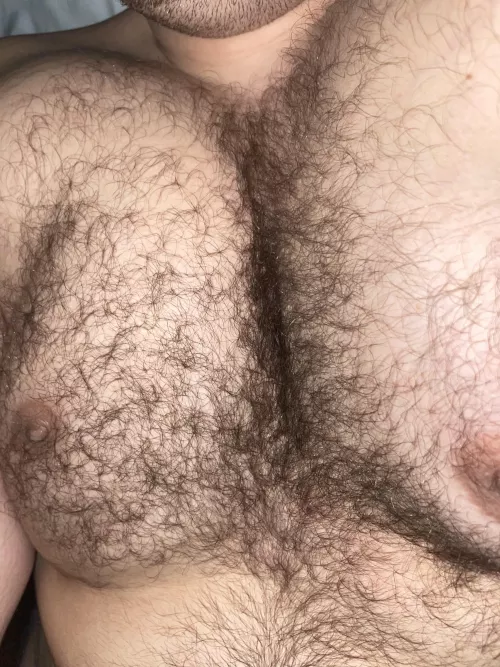 How hairy would you say I am, on a scale of 1-10? by Hairbair12