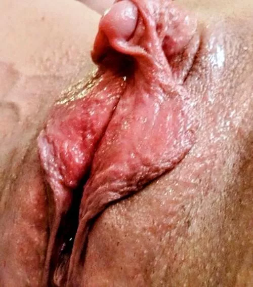 💖 how hard and the way her labs are hanging like drapes 💕💯 posted by Roadliner1