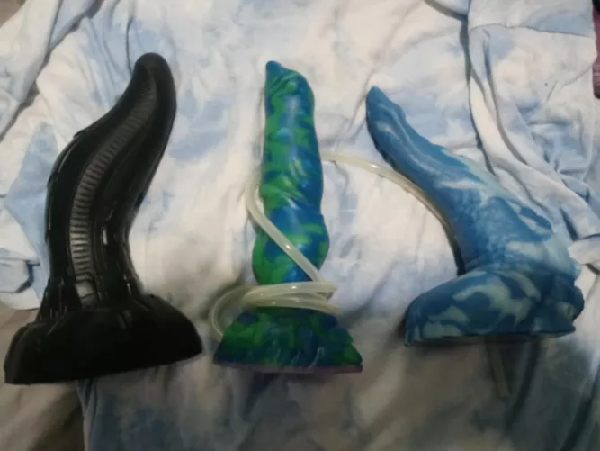 How is small Habu bigger than medium Roland and medium Tako? I've made a mistake. by idfc1776