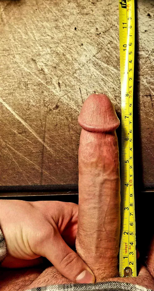 How is this? by Sir_Spankstoomuch