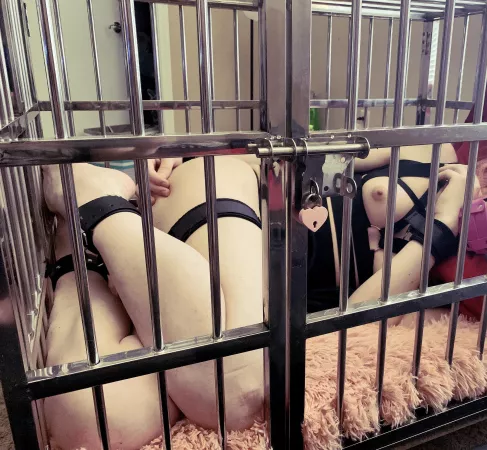 How long until I can come out and play? 🥺 by Tiedrose