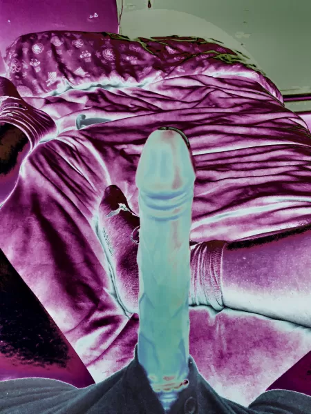 How many toys are in this pic? Correct guesses win a prize.. 😉💖 by Newton_Verse