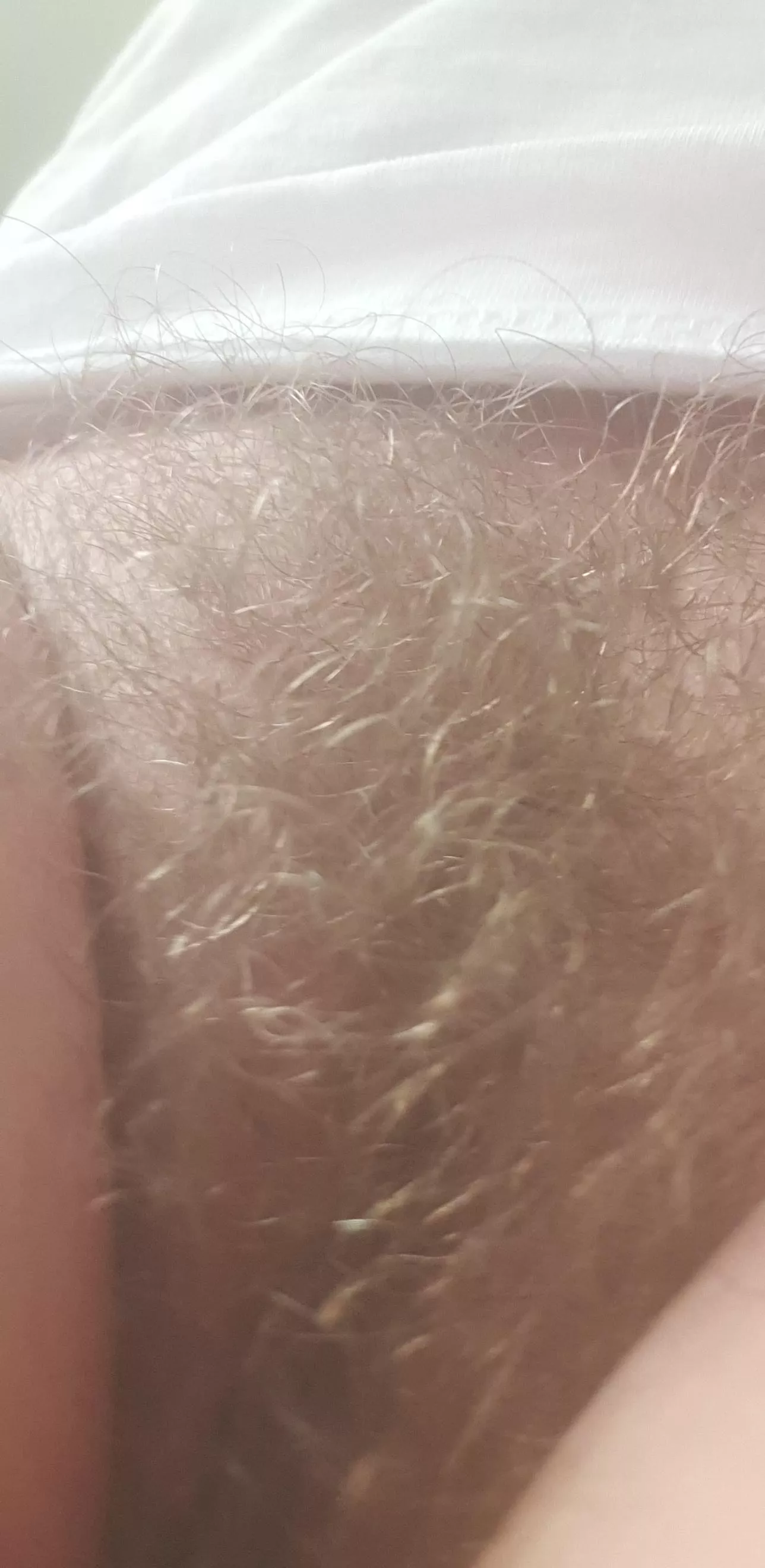 How Much do you like my Nattie Blonde Bush ? posted by naturalbushblondieNz