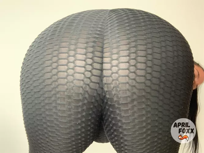 how much do you wanna spank it by aprilfoxxxx