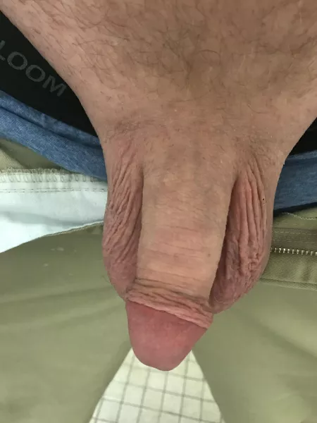 How this by HoneydewPlenty8657