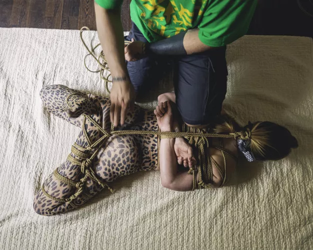 How to catch a cat. by Bound_Crazy