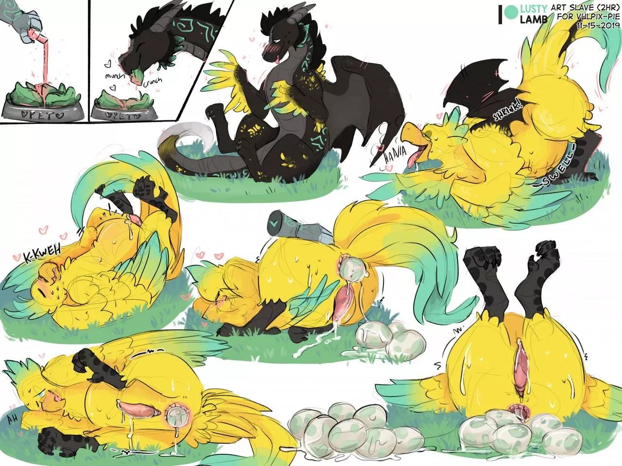 How to train your chocobo [M] [Dragon -> Chocobo] (lustylamb) posted by Sammy_Summers