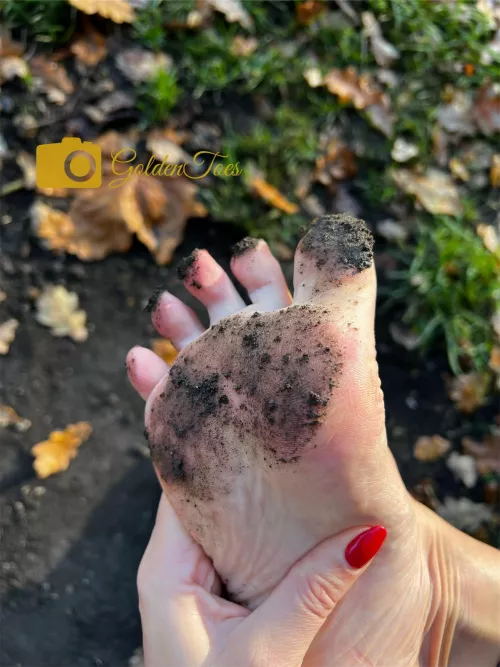 How would you clean my beautiful feet? To whom should I give the honour? GTx by GoldenToesUK