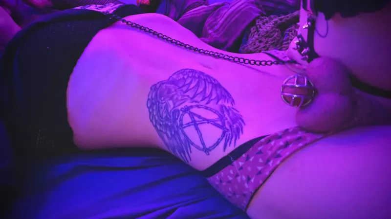 How’s everyone this evening ~? by MassiveSuccotash5888