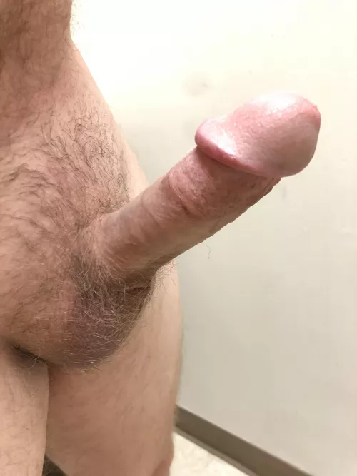 How’s everyone’s day going? by LoneGopher27