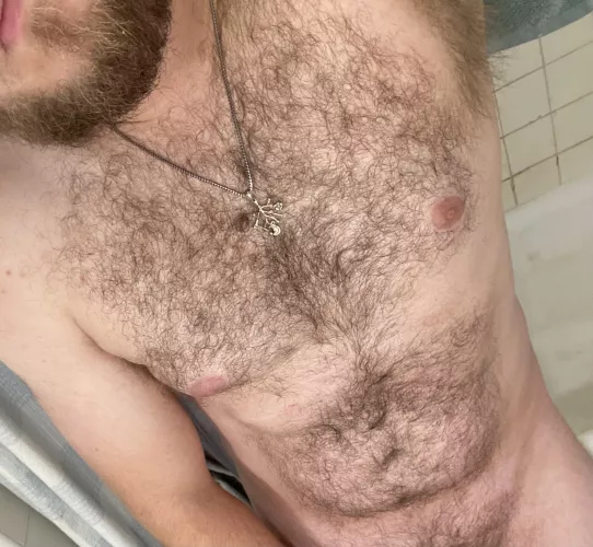 How’s it hangin bud by HuckAndFinn