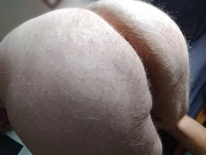 How's it looking back there? by Slag_Bag