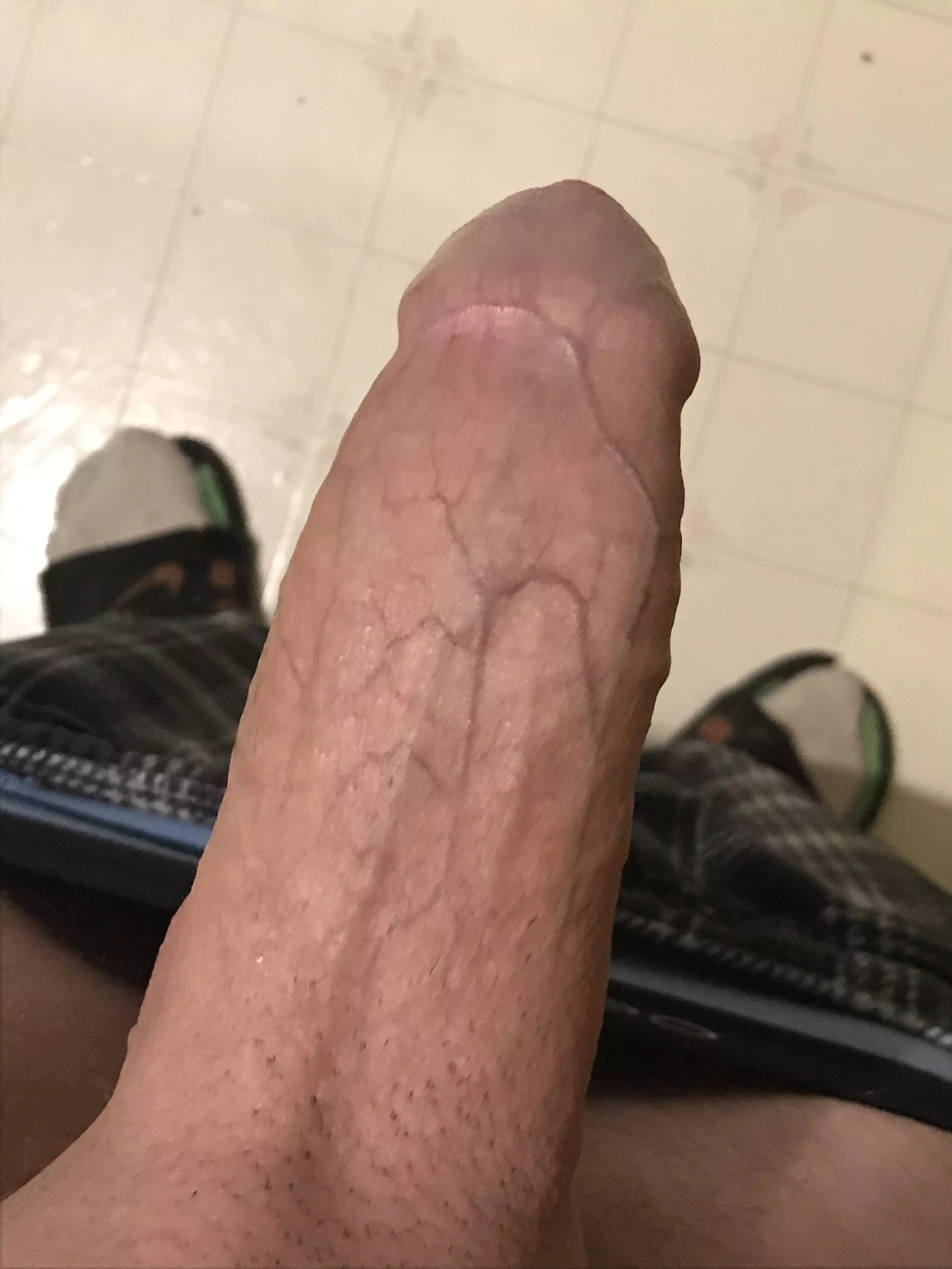 How’s my Canadian cock look posted by canadian117