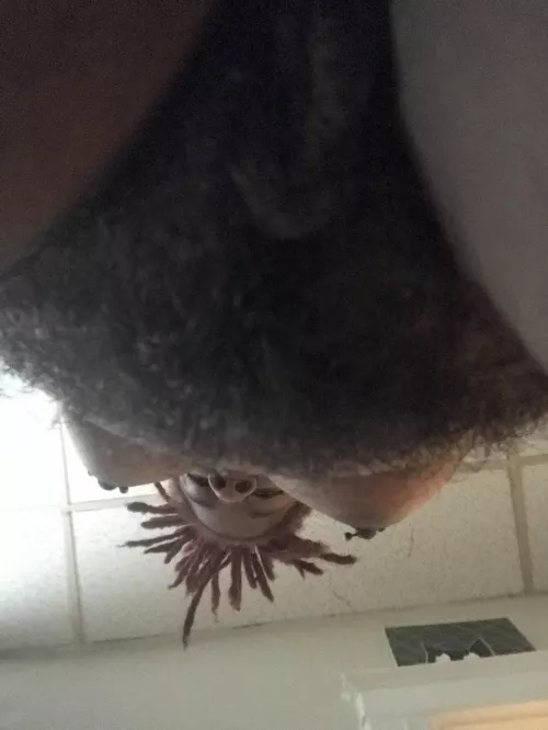 How’s the view ? by Affectionate_weirdoo