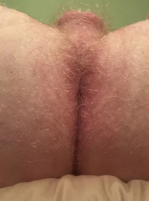 How’s this? by beefycub10