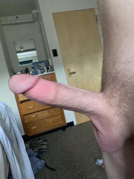 how’s this? by busyfoolz