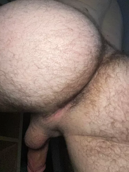 How’s this for a hairy man ass? by Bigbooblover17
