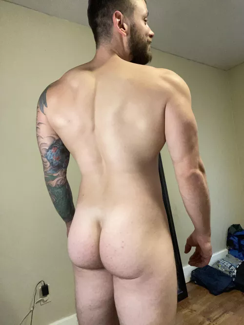 Hump day! by timmyzz