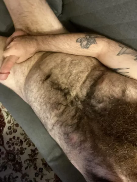 Hump day by bigrredbeard123