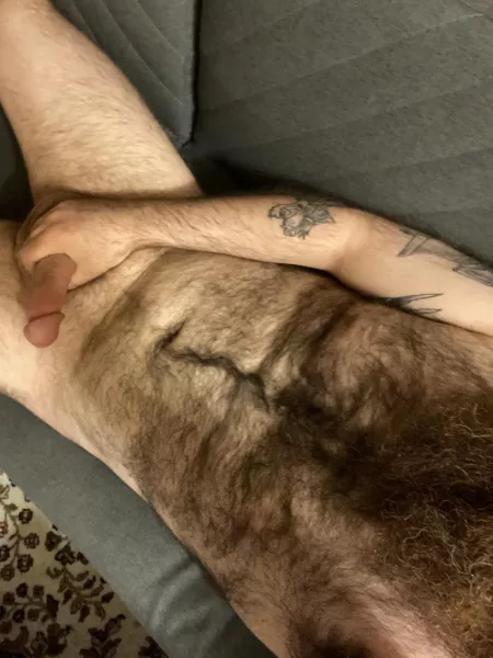 Hump day by bigrredbeard123