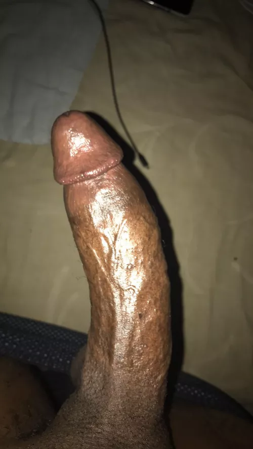 Hung and horny bbc dom by Silverback414