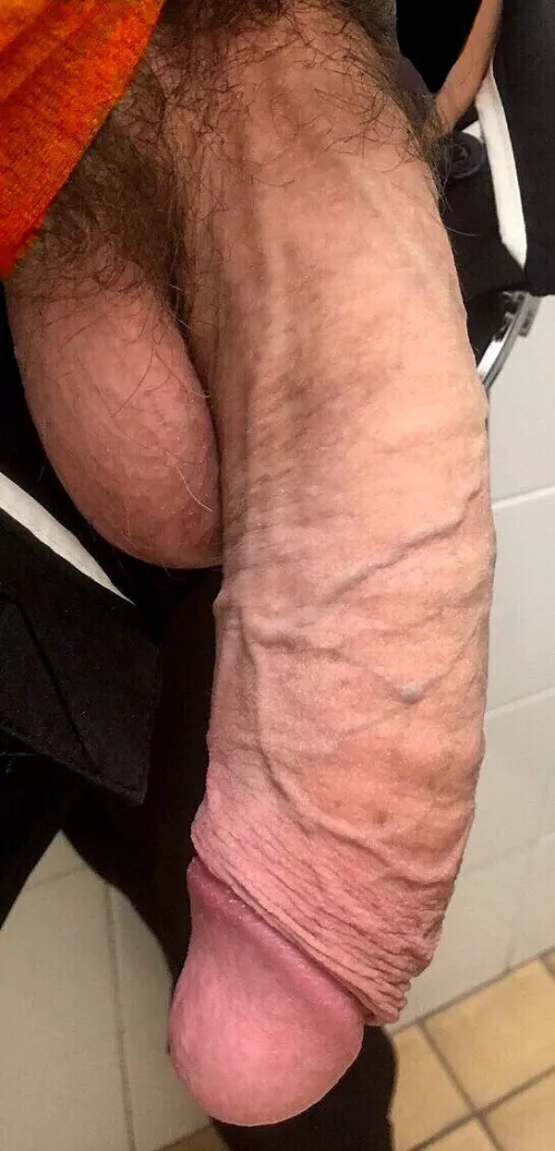 Hung by Educational-Use-4342