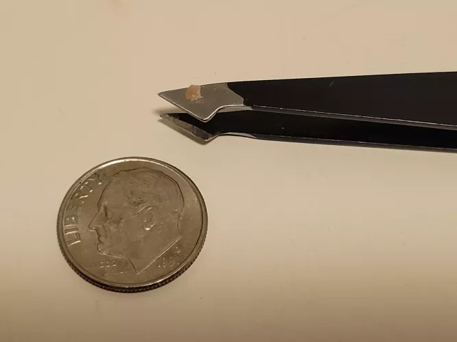 Husband finally let me pop this off his nose! Not too sure if it's a black head or just a dirty pore Been there for about a month. Dime for size. by Neko_Chan101