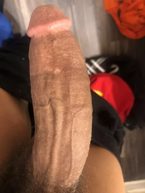 I by Responsible-Union314