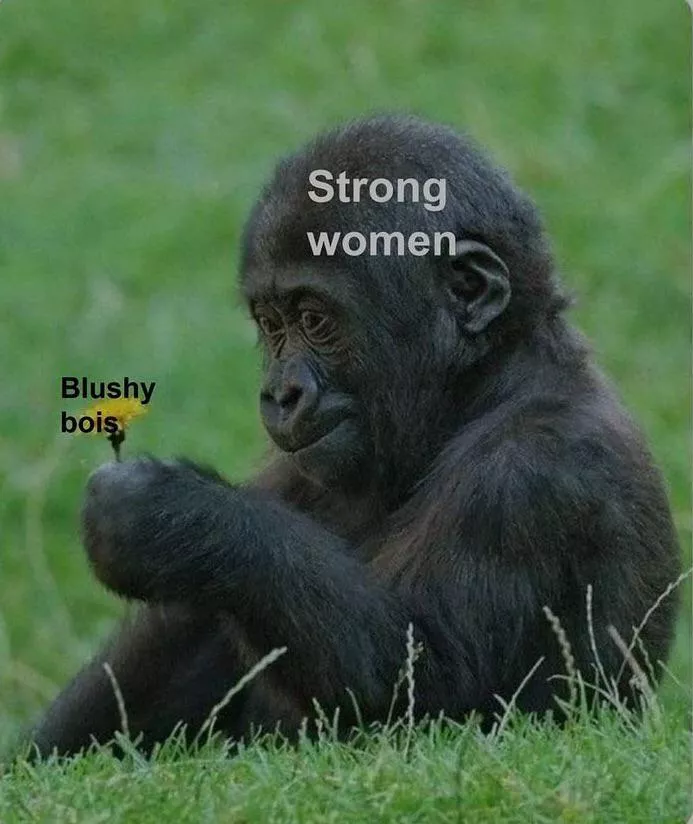 i- posted by vexedpng