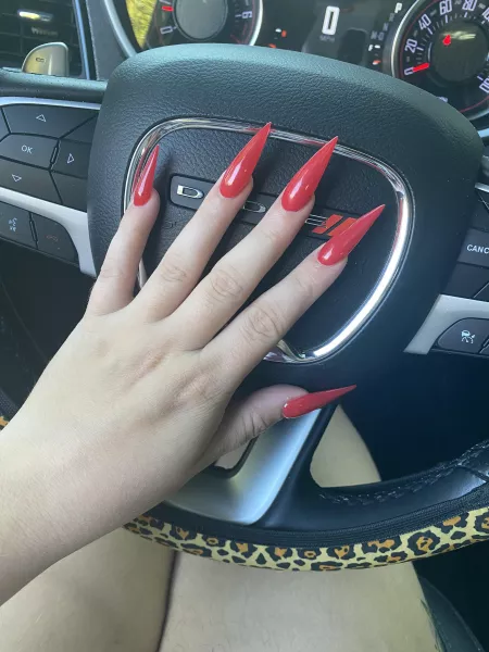 I always feel better with a fresh set of claws! by monstermoosecos