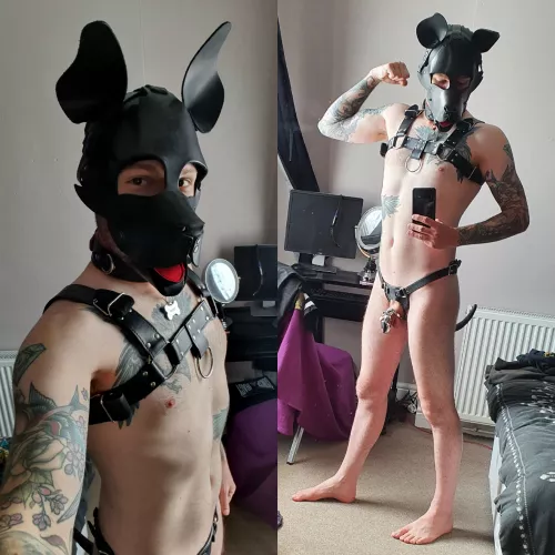 I always feel super cute in my pup mask :D by HeiZenbergMMXIV