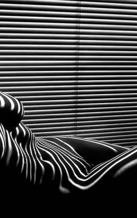 I am a Zebra [f] by Storytaeller