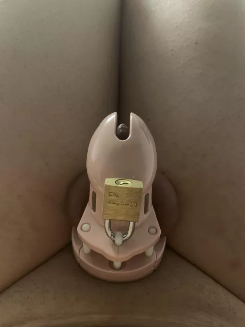 I am all locked up maybe for ever and I couldn’t be more happier 😊 by Nina_The_Sissy_