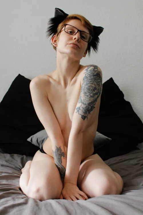 I am your Queen and Empress, bow before my magnificence and feed me all the wet food! (sorry, I won't let my cat write my captions again!) by stretchykitten