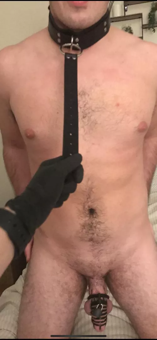 I ♥️ caging men. What should I make my butch boy do for me next before I even think about uncaging him?? by subboytoy26