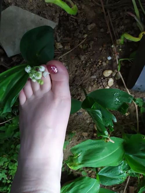 I can be gently with my feet... by Wriggly_Feet