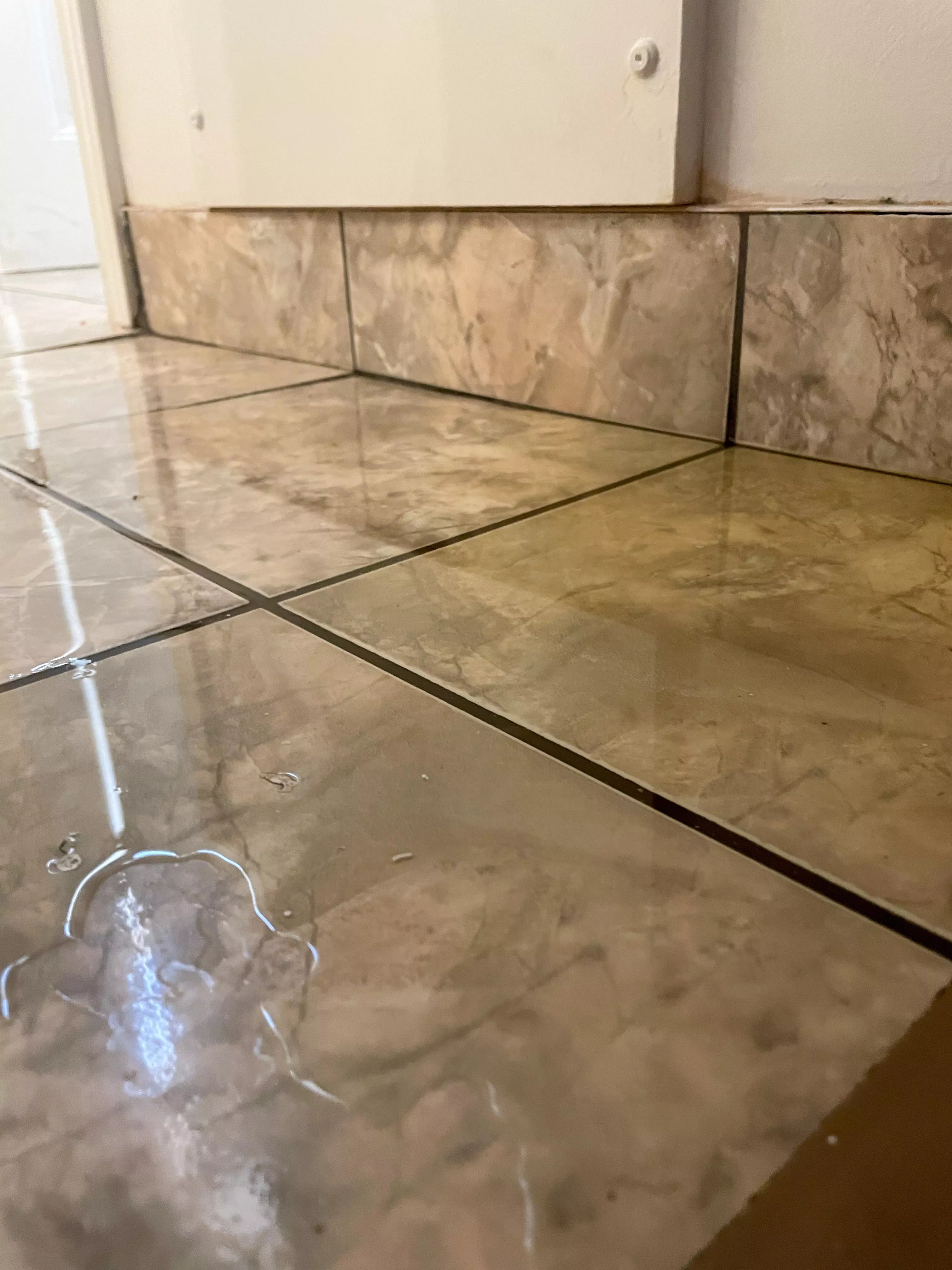 I can’t describe to you how AMAZING it was feeling my soaked cotton panties pressing up against my clit as I rubbed it and continued to let go all over myself, down my legs, and in a puddle on the tile floor. Anyone want to know what I did next? posted by MaskedAndUsed