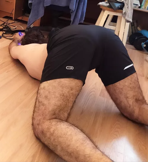 I can't seem to find what I'm looking for, care to give me a hand? by wildboar420