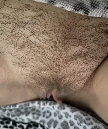 I can’t wait for it grow out fully 🥰 by mshaileyb_