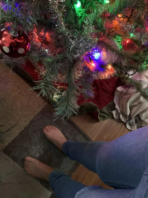 I can’t wait till Santa puts presents under my tree. by Granitestaterxxx