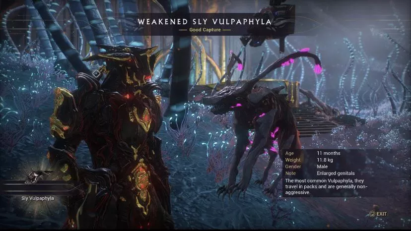 I caught a sly vulpaphyla with a big dick posted by French-dudev2