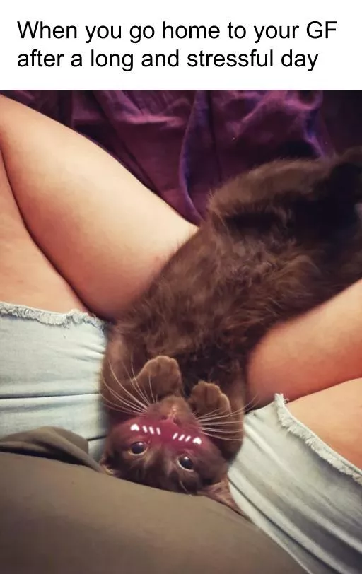 I could really use something like this posted by myweirdsubaccount