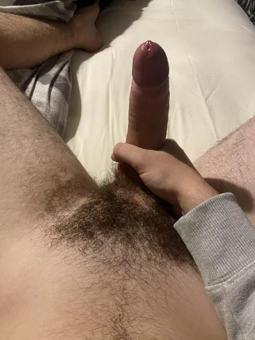 I could use another hand by Big-Discussion7443