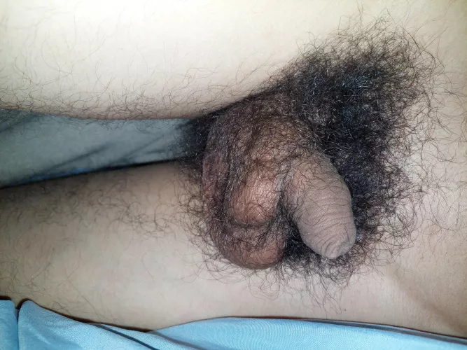 I don't have a big softie but I have a pretty big bush by rdnmGuy