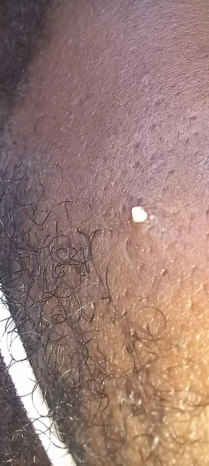 I don't know how she keeps finding these on me. posted by ZimLordVader