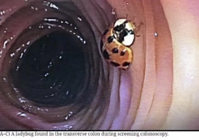 I don’t know how that got there, and I like it that way. by KISSfanFOXV2