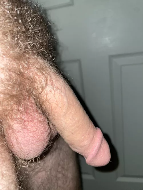 I don’t shave by arborvitaegreens