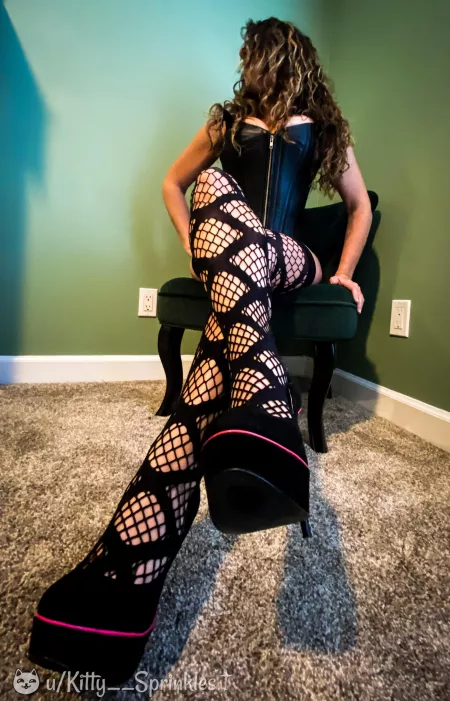 I don’t think anything in this picture is safe for work (=^•^=) by Kitty__Sprinkles