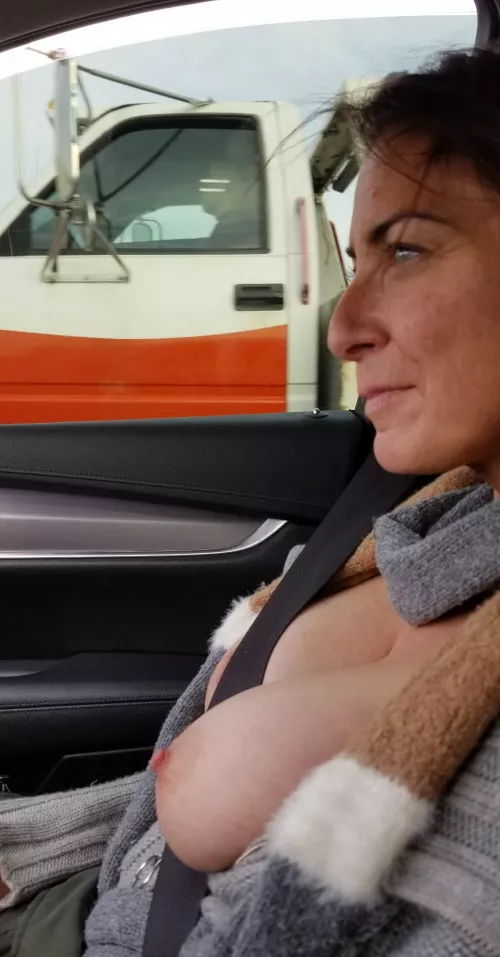 I don't think he noticed me...I like riding in the car this way. (F) by LilyHardin34